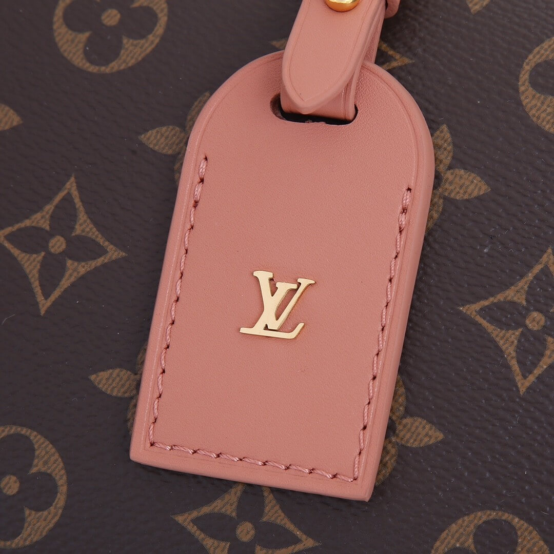 LV Petite Malle Souple Handbag